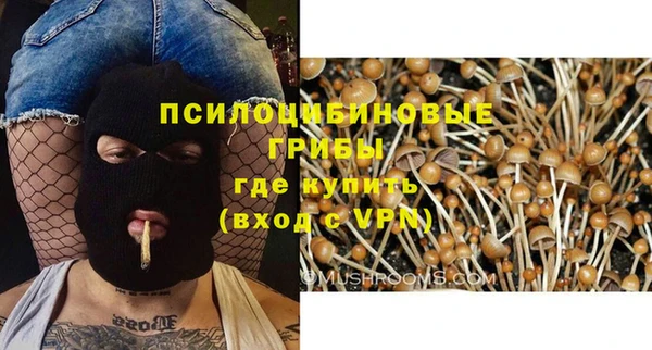 трава Семикаракорск
