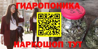 шишки Будённовск