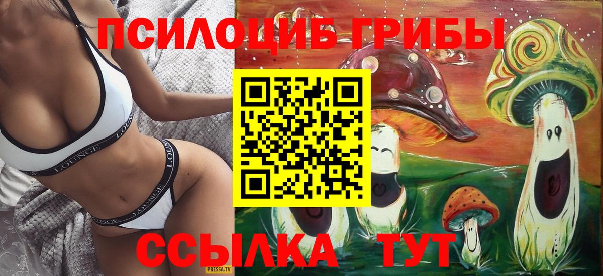 Псилоцибиновые грибы Psilocybe  Вход с VPN  Солнечногорск 