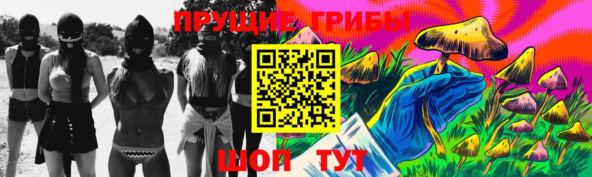 МЕФ Солнечногорск